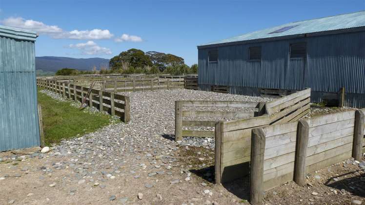 309 Hagen Road Orawia_14