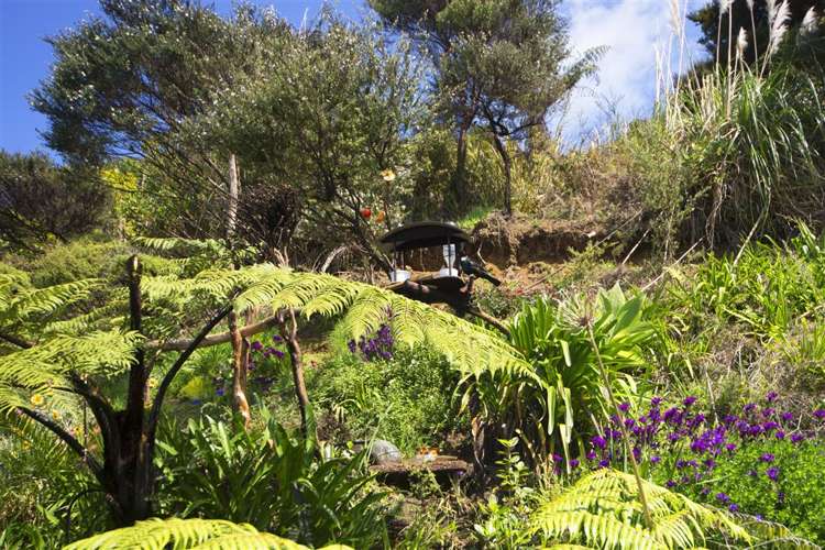 81 Cornwallis Road Cornwallis_16