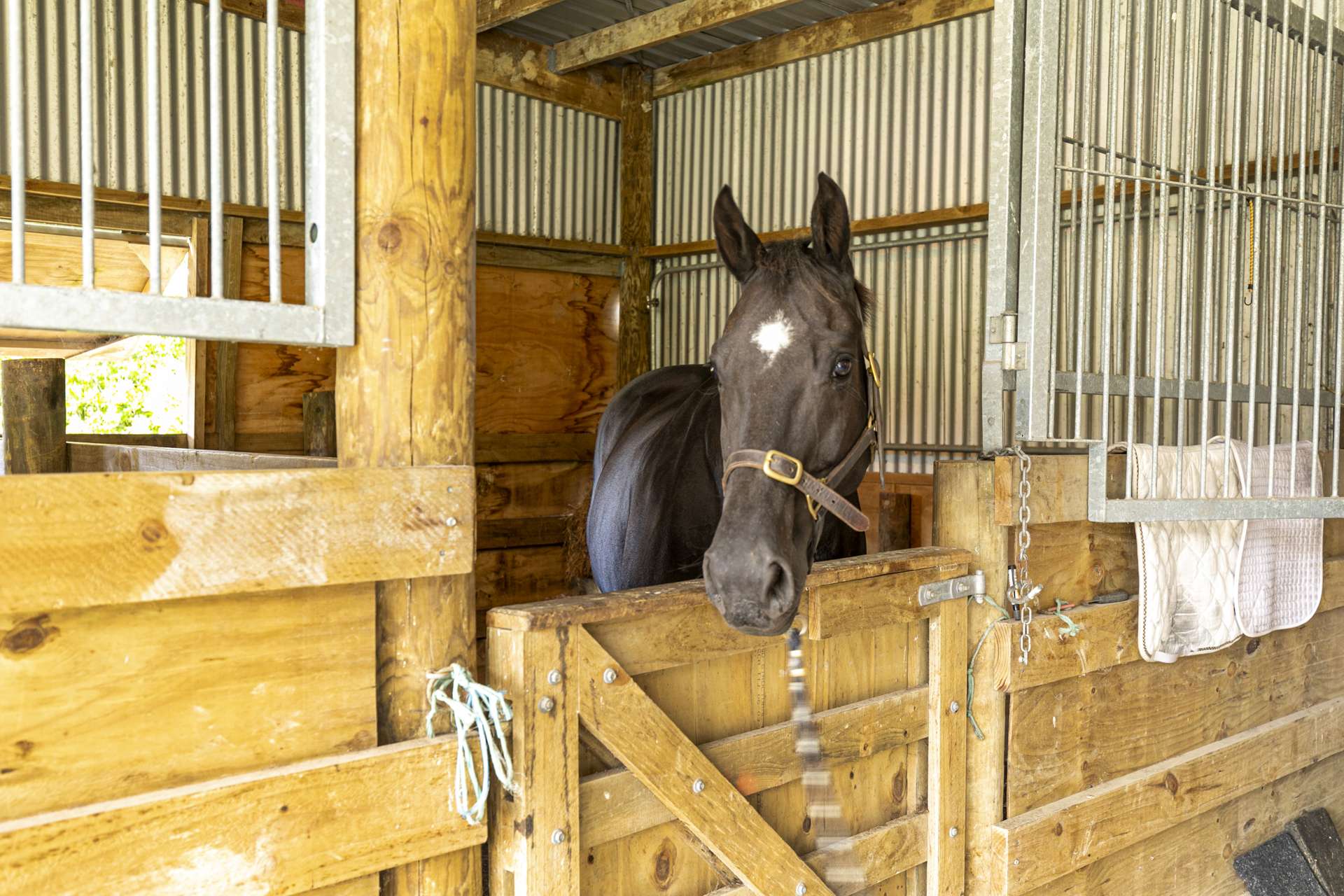 263 Whitehills Road Waitoki Rodney Rural Property For Sale One Roof