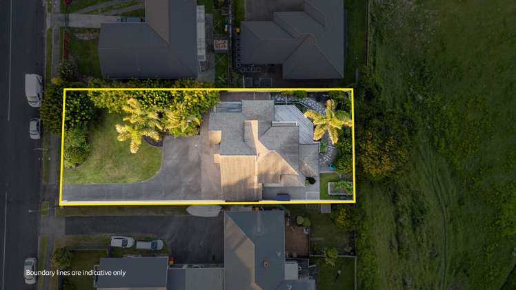 48 Oxford Street Te Puke_2