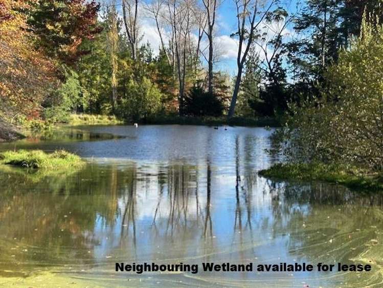 207 Rotowai Road Omakere_10