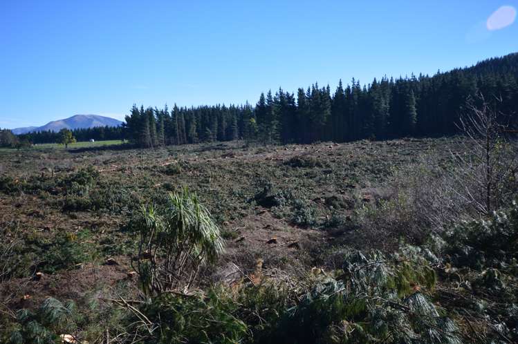 423 Hayland Road Okuku_9