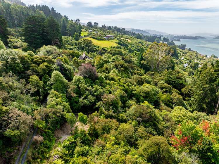 30 Ruru Avenue St Leonards_15