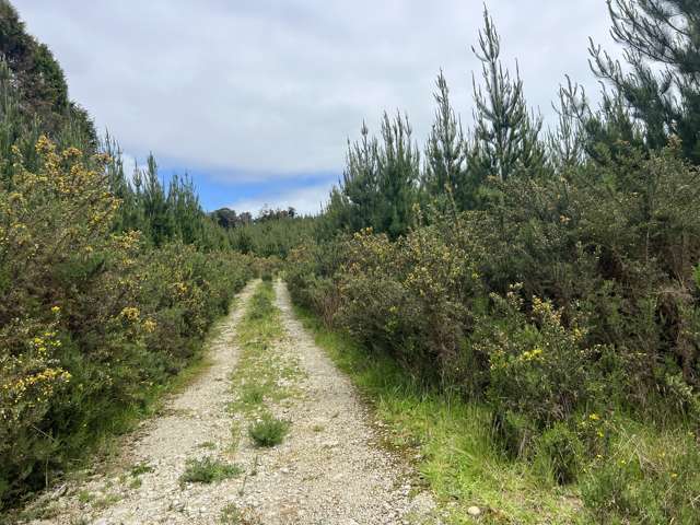 Marsden Road Marsden_2