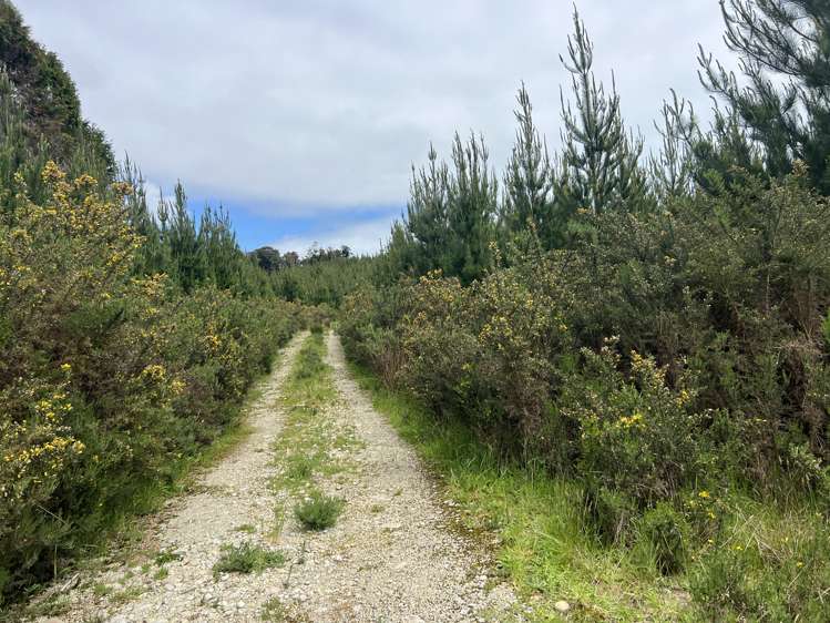 Marsden Road Marsden_2