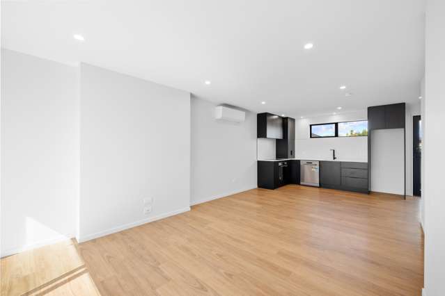 3/56 Wildberry Street Woolston_3