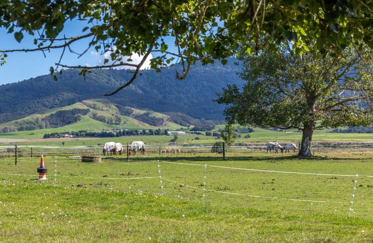 11 Hapuakohe Road Tahuna_12