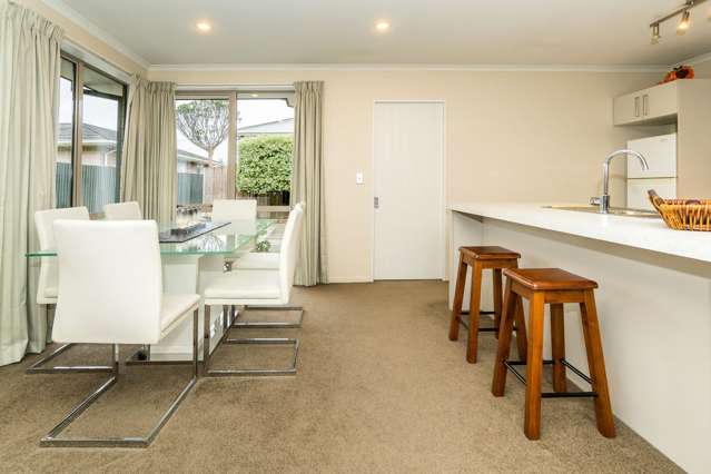 21a Sugden Street Spreydon_3