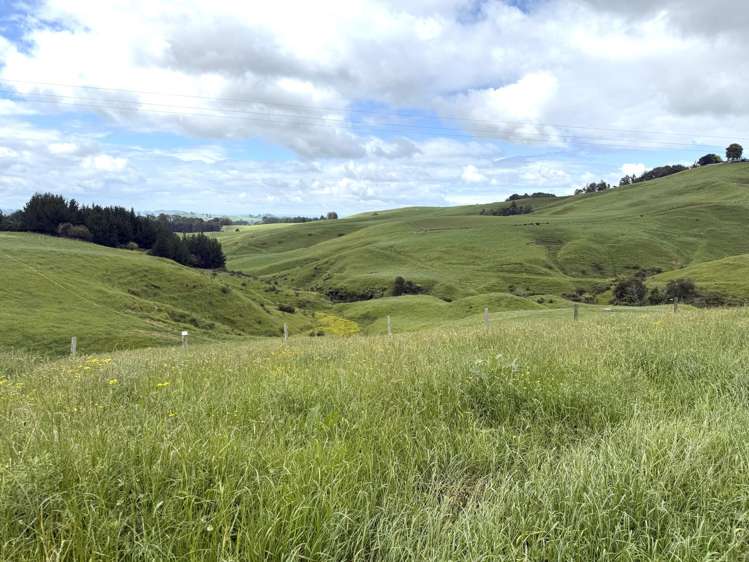 Taotaoroa Road Karapiro_48