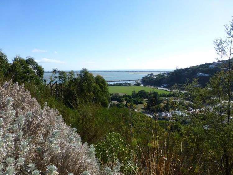 20 La Costa Lane Mount Pleasant_6