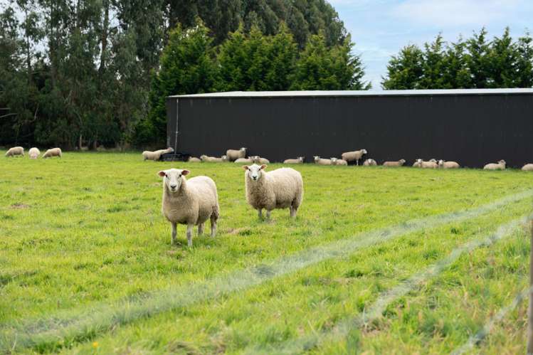 120 Myross Road Myross Bush_47