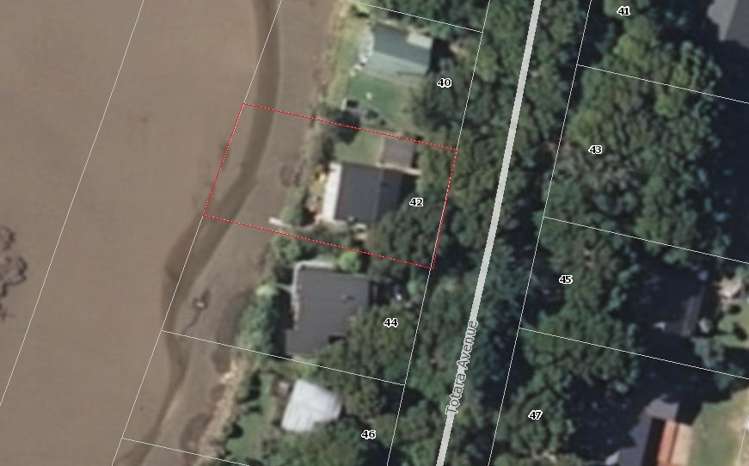 42 Totara Avenue Collingwood_15