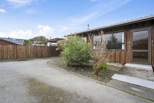 28a Richmond Street Petone_1