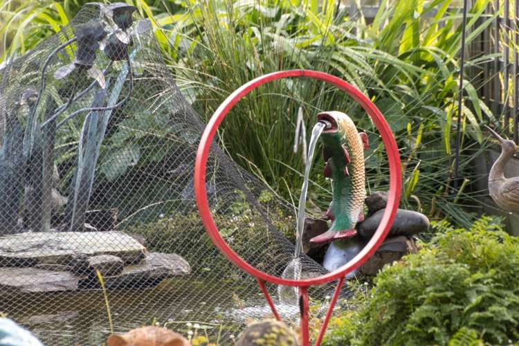 19 Manuka Grove Helensville_12