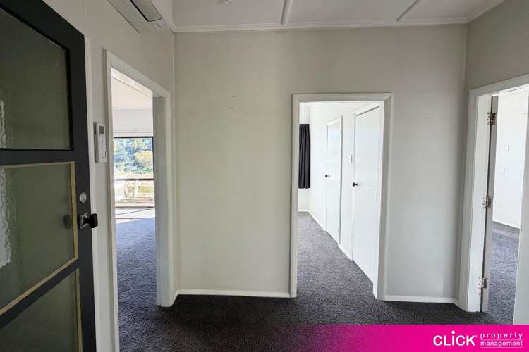 3 Edinburgh Street Green Island_11