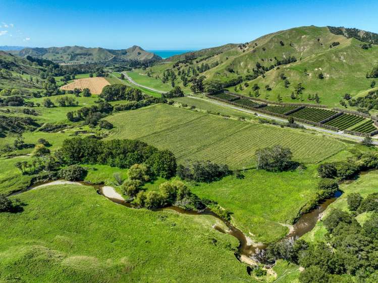 Lots 1 and 2 DP 428308 - Wharerata Road Muriwai_9