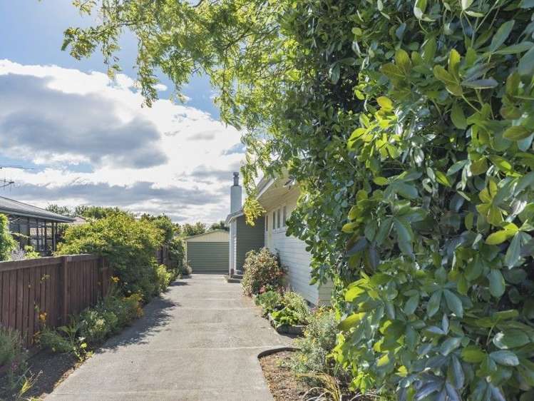 250 Annesbrook Drive Wakatu_19