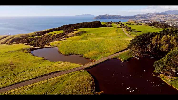 Pikarere Farm Porirua_13