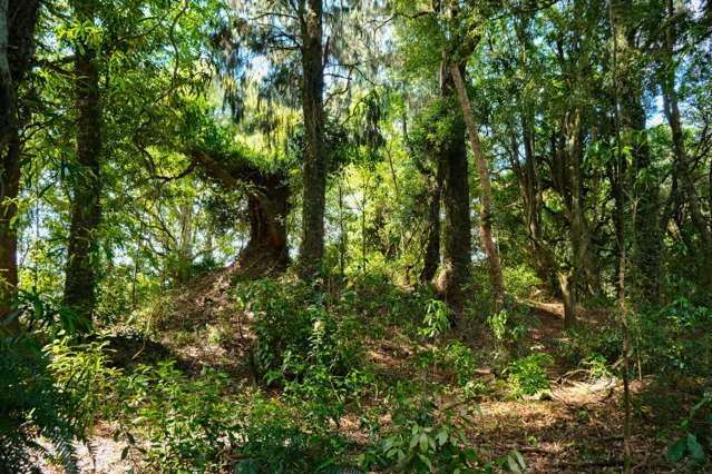 Lot 3 Oturoa Road Hamurana_3