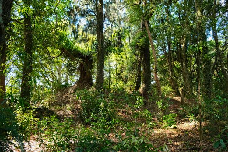 Lot 3 Oturoa Road Hamurana_3