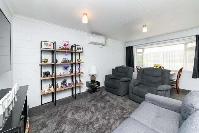 2/297 Ruahine Street Terrace End_4