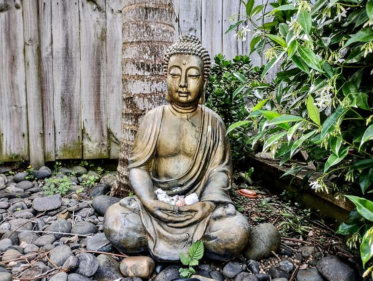 47 Evans Road Glen Eden_30