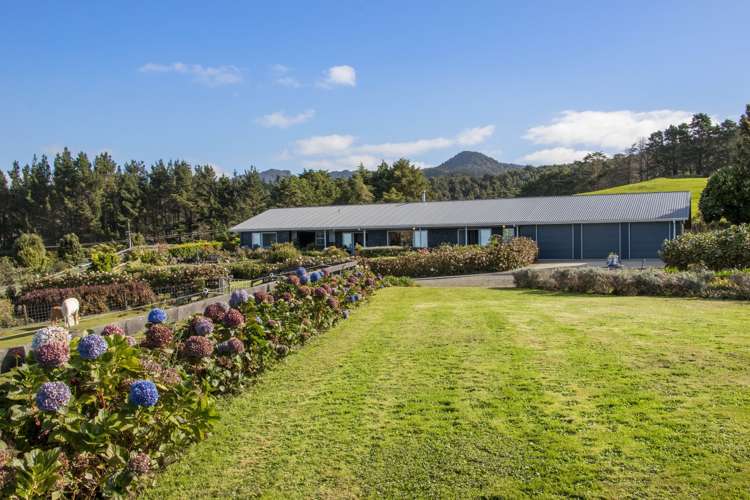 413C Busby Road Katikati Western Bay Of Plenty Houses for Sale