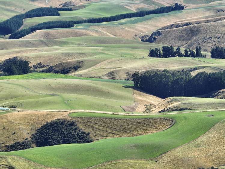 665-901 Tima Burn Road Teviot_30