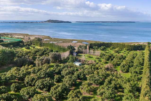 275 Athenree Road Katikati_2