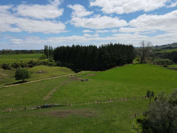 2/573 Tirau Road Cambridge_7