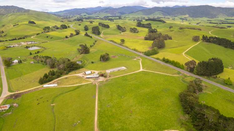 51 Falkner Road Eketahuna_5