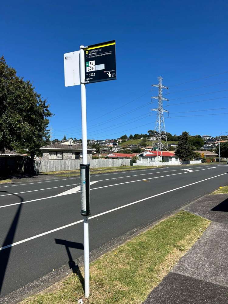 Matthews Road Flat Bush_20