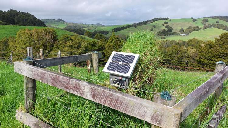 34 Wairere Valley Road Paparoa_7