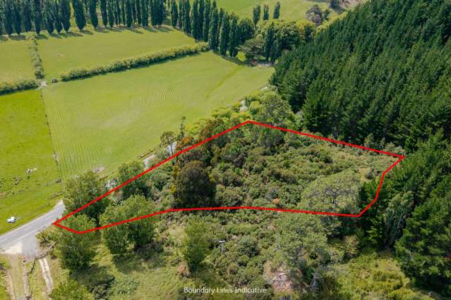 Lot 1, 4107 Masterton Castlepoint Road Tinui_2
