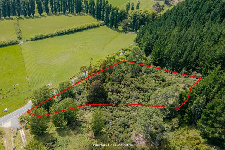 Lot 1, 4107 Masterton Castlepoint Road_2