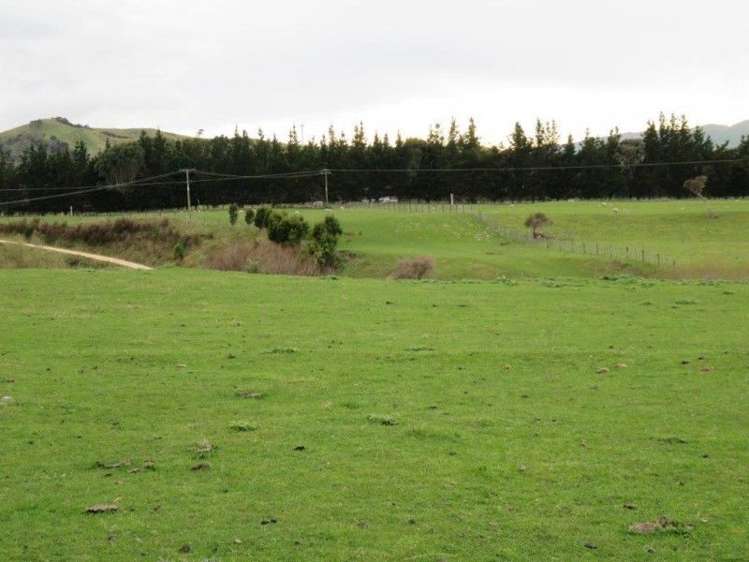 769 State Highway 2 Opaki_13