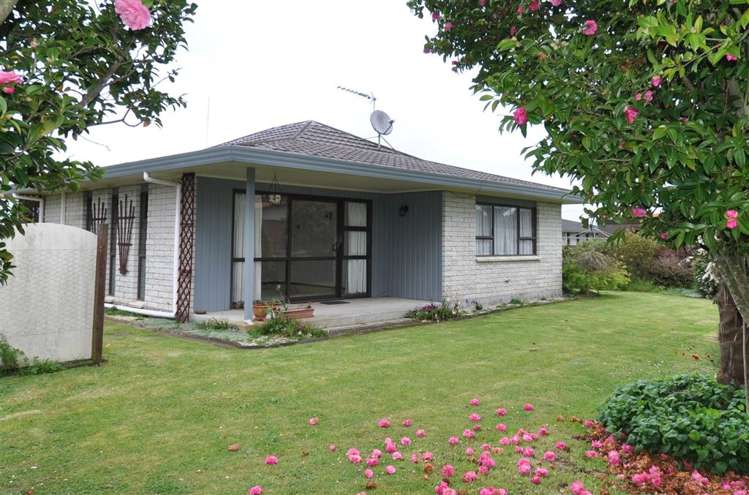 26b David Street Morrinsville_0