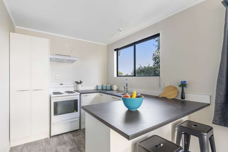 1/8 Martha Lane Manurewa_2