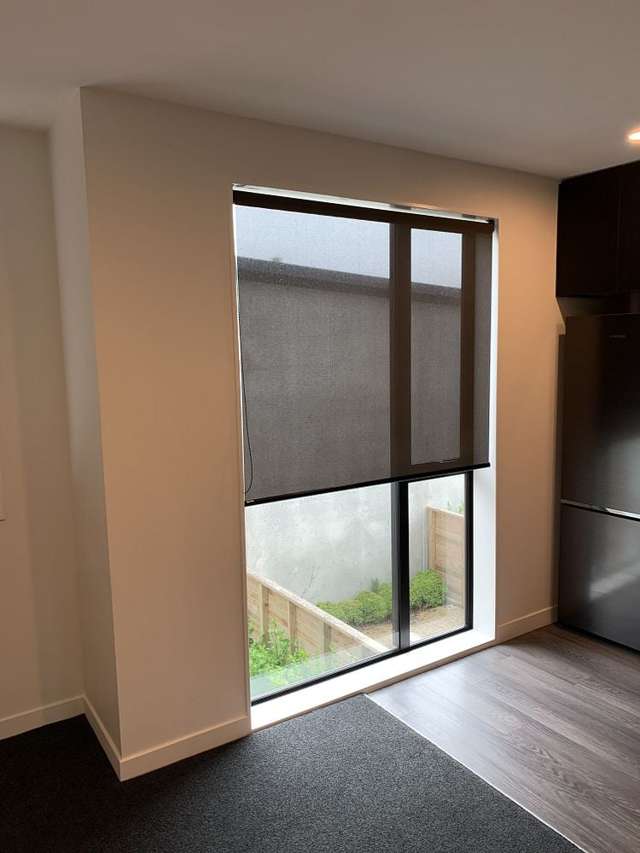 49 John Street Petone_2