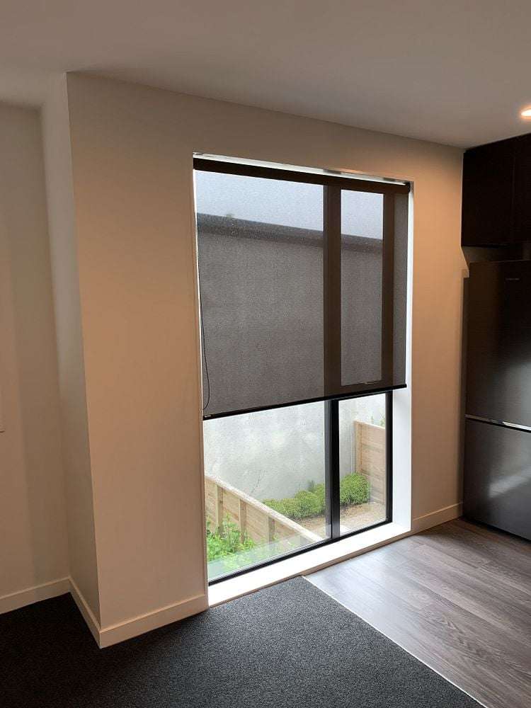 49 John Street Petone_2