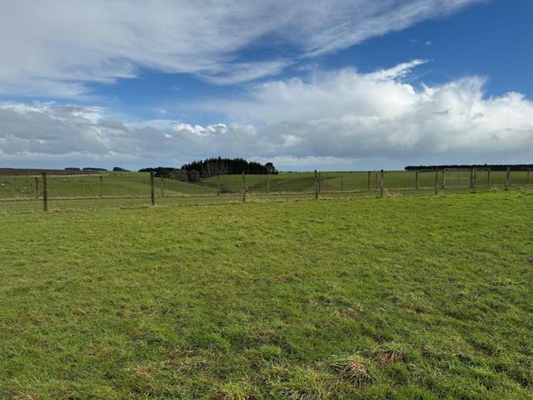 276 Middleton Road Waimahaka_7