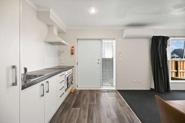 1/3 Somerset Street Frankton_2