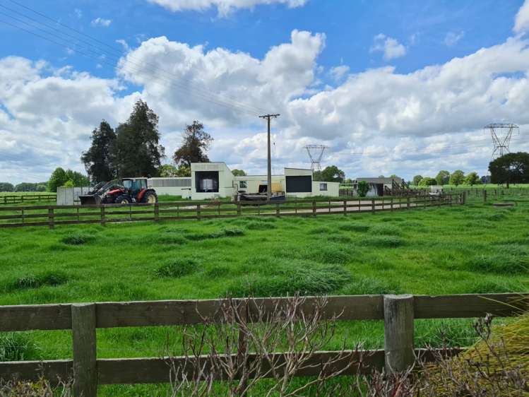 139 Taylor Road Gordonton_6