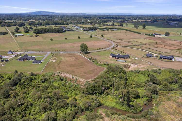 179 Webster Road Matangi_7