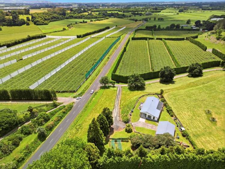 263 Old Coach Road Paengaroa_43