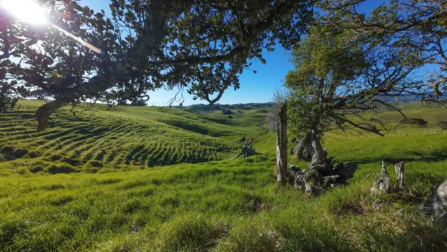 576 Church Road Kaitaia_2