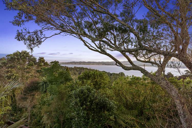 1/62 Rangatira Road Beach Haven_16