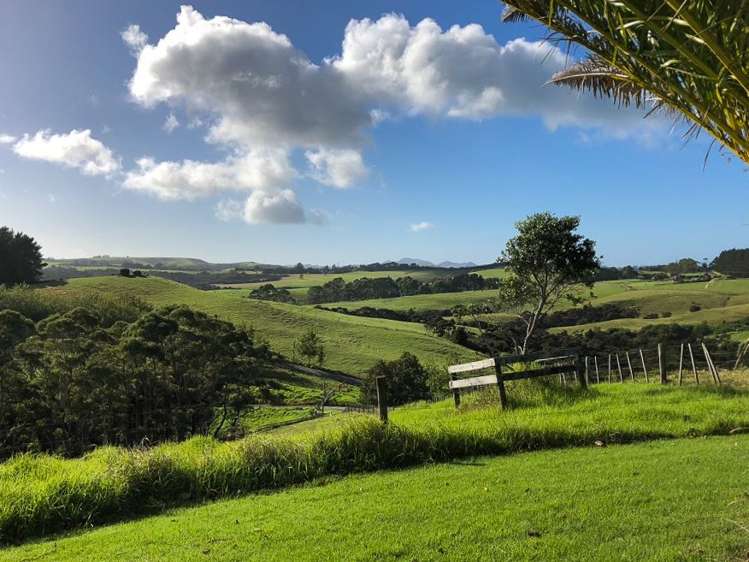 785d Purerua Road Kerikeri Surrounds_11