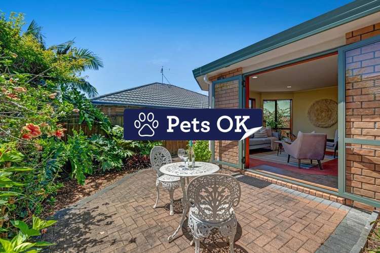 20 Red Hibiscus Road_0