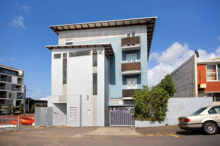 1/3 Ngahura Street Eden Terrace_8